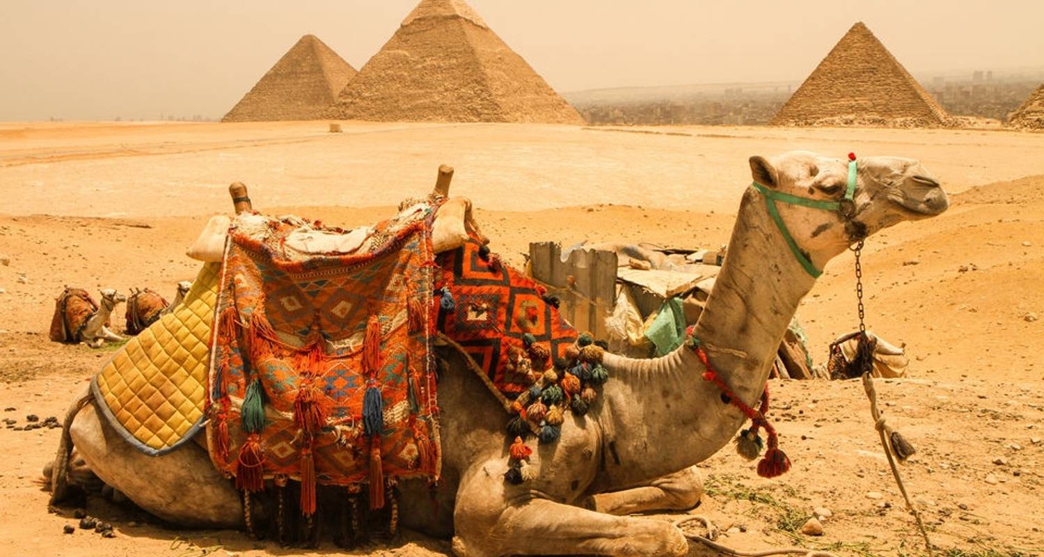 EGYPT 7 DAYS: CAIRO, NILE CRUISE & SLEEPER TRAIN ROUND TRIP